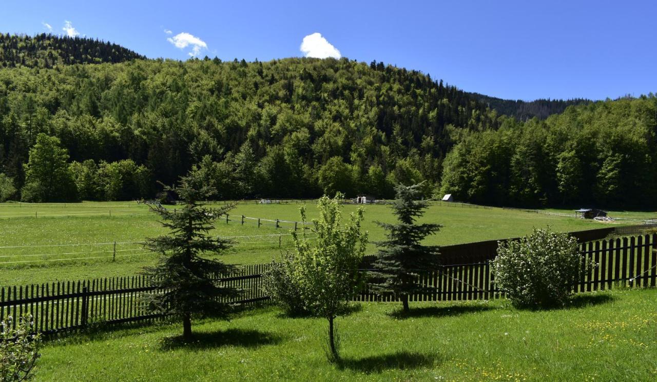 Apartament Rojka Zakopane Esterno foto