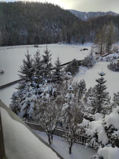 Apartament Rojka Zakopane Esterno foto