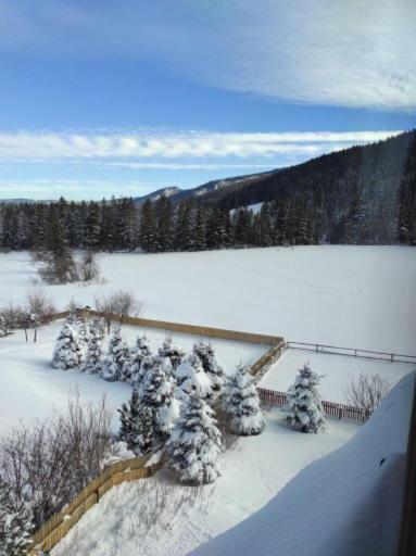 Apartament Rojka Zakopane Esterno foto