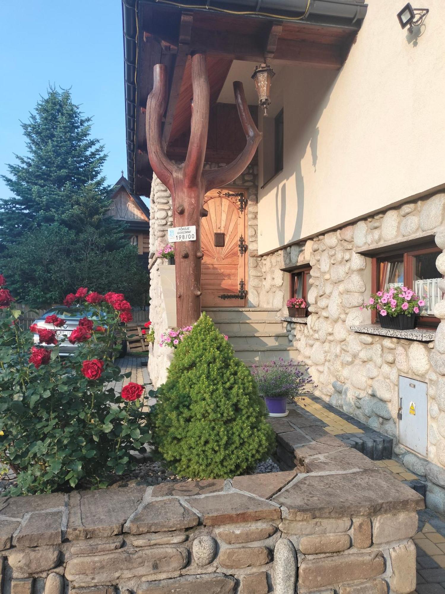 Apartament Rojka Zakopane Esterno foto